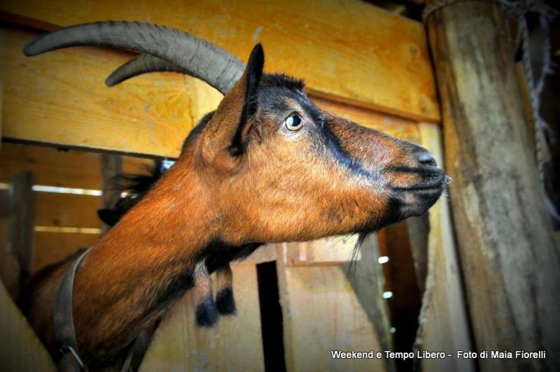 Agriturismo Slowcanda Cardella Luaran gambar